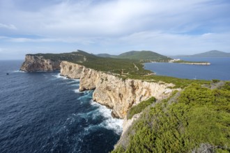 View of steep cliffs by the sea, coastal landscape, cliffs on the Capo Caccia headland, Alghero,