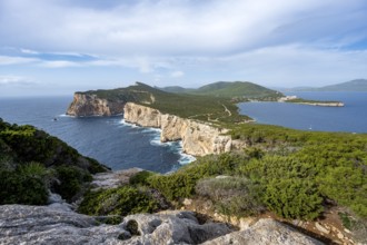 Steep cliffs by the sea, coastal landscape, cliffs on the Capo Caccia headland, Alghero, Sardinia,