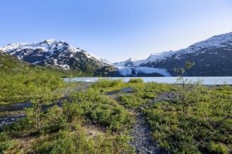 On the shores of Portage Lake, Snowy Mountains and Glaciers Portage Glacier, Chugach National