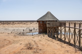 Olifantsrus Camp, waterhole, Etosha National Park, Namibia