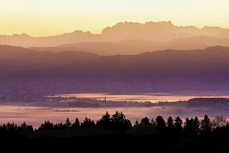 View from Horben of Lake Zug with the town of Cham and Zug, behind it the snow-capped mountains