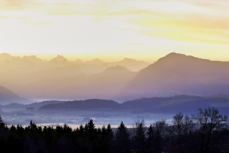 View from Horben of the midlands lying in fog, behind it the Alps with the Rigi, Beinwil-Freiamt,