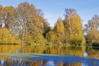 Autumn colors on Sandbrack, a lake in the Kirchwerder district of Hamburg. Fünfhausen, Kirchwerder,