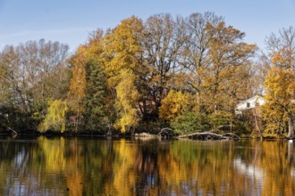 Trees in autumn colors on Sandbrack, a lake in the Kirchwerder district of Hamburg. Fünfhausen,