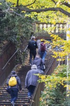 Willy Reichert squadron. There are up to 400 stables in Stuttgart. The stairs not only serve as a