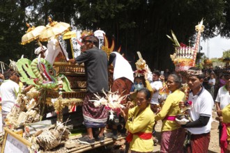 The mortal remains of a deceased person are placed in an animal sarcophagus (wadha) during the