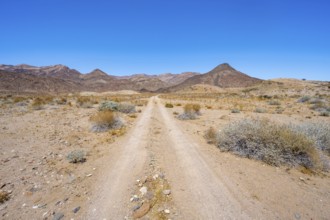 Sandy track through desert landscape with Brandberg, Erongo, Damaraland, Namibia