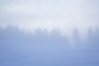 Thick fog slowly clears over snowy landscape