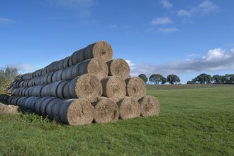Stacked round straw bales from the agricultural cooperative on a meadow, Othenstorf,