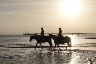 Two female riders ride their horses through the shallow water of the Baltic Sea at sunrise,