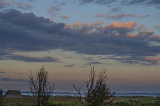 Fishing hut in reeds (Phragmites australis) on the banks of the lagoon, evening cloudy sky,