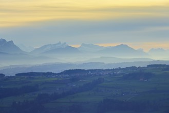 Lucerne Midlands, behind them the Bernese Alps, Müswangen, Canton, Lucerne, Switzerland