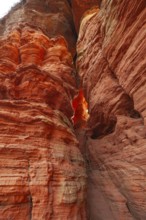 Evening rock glowing in spring at Altschloßfelsen in Eppenbrunn Palatinate, Germany