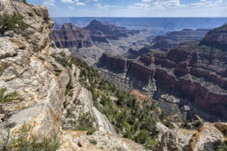 North Rim of the Grand Canyon in Northern Arizona, USA