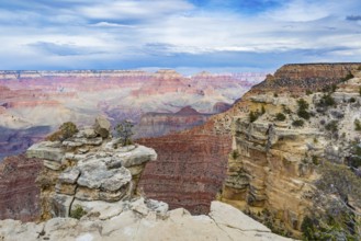 The Grand Canyon in northern Arizona