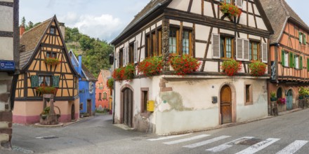 Half-timbered houses passing through Niedermorschwihr, Ellsass
