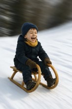 A boy sledges down a hill laughing happily on a sled, symbolizing winter, winter sports, sledding,