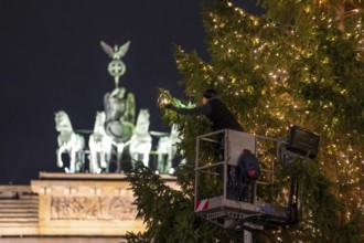 The big Christmas tree in front of the Brandenburg Gate, on Pariser Platz, is decorated with fairy