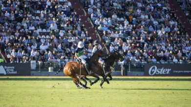 Scene at the 132nd Argentinean Open Polo Championship (Spanish 132nd Abierto Argentino de Polo de