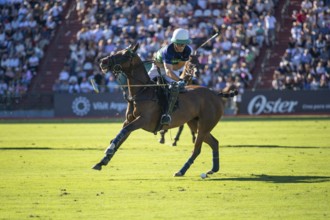Polo player Bartolome Castagnola from Team La Natividad La Dolfina at the 132nd Argentine Open Polo