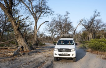 Safari car on a dust road, Moremi Game Reserve, Botswana