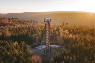 An observation tower stands in an autumnal forest at sunrise, Hohe Warte lookout tower, Hohenwart,