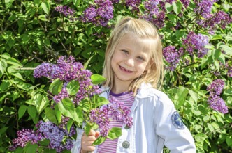 Little blonde 7-year-old girl stands surrounded by blooming lilacs and smiles at the camera in