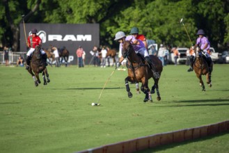 Scene at the 132nd Argentinean Open Polo Championship (Spanish 132nd Abierto Argentino de Polo de