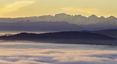 View from the Gisiflue over the sea of fog, with the snow-covered Glarner Alps in the morning
