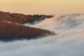 View from the Gisliflue of the Jura foothills covered in fog, in the light of dawn, Talheim,