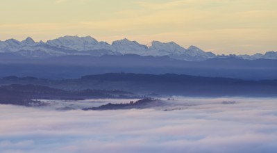 View from the Gisiflue over the sea of fog, the snowy Bernese Alps in the morning light, Talheim,