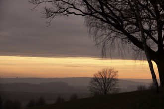 Landscape on an evening in autumn, November, Germany