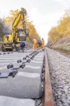 Workers lay concrete ties along an autumnal railway line with the help of an excavator, Hermann