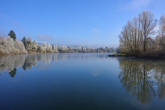 A quiet winter day at a lake with mirror-like water and bare trees, hoarfrost, winter, Mondsee,