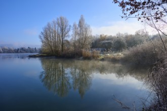 A peaceful winter morning with trees by the lake reflecting in the clear water, hoarfrost, winter,