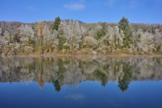 A quiet autumn picture with a lake whose water reflects an autumnal forest, hoarfrost, winter,
