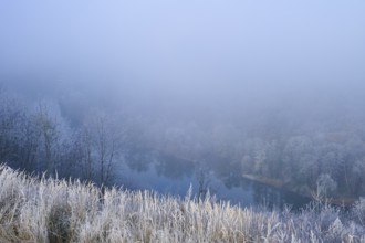 A foggy morning on a river with frost-covered trees and grass, quiet and mystical atmosphere,