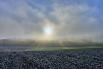 Sunrise through fog over a field with blue sky, hoarfrost, winter, Urphar, Main-Tauber district,