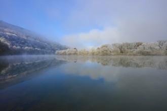 Wintery landscape with fog over a quiet river, tree-lined, hoarfrost, winter, Boxtal,