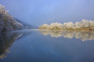 A gentle winter landscape, clear river with frosty, reflecting trees, hoarfrost, winter, Boxtal,