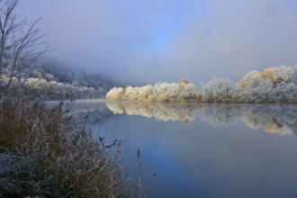 Snowy trees and clear water reflection show a peaceful river landscape, hoarfrost, winter, Boxtal,
