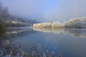 A river with snow-white trees that are reflected in the water. Atmospheric, quiet winter landscape,