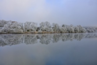 Misty winter landscape with smooth, calm river and snow-covered trees, hoarfrost, winter, Boxtal,