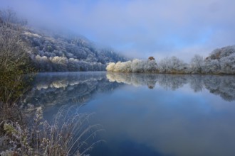 Clear water reflects the snow-white trees and the quiet winter panorama, hoarfrost, winter, Boxtal,
