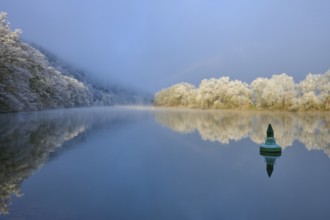 A green buoy on calm water, surrounded by snowy, reflecting trees, hoarfrost, winter, Boxtal,