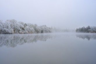 Thick fog surrounds a quiet river with snowy, reflecting trees, hoarfrost, winter, Boxtal,