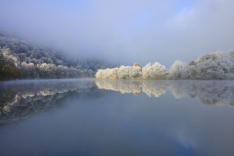 Snowy trees are reflected in the quiet river, surrounded by foggy, overcast sky, hoarfrost, winter,