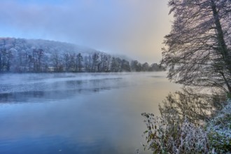 Wintery morning at the water with frosty trees and fog in a peaceful atmosphere, hoarfrost, winter,