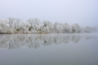 Snowy winter landscape with quietly reflecting trees in the foggy river, hoarfrost, winter, Boxtal,