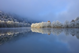 A calm river reflects frosty trees and mountains in a wintry environment, hoarfrost, winter,